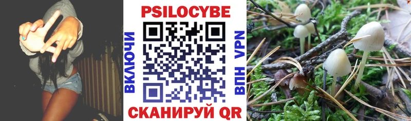 Галлюциногенные грибы Psilocybine cubensis  Алупка 
