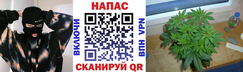 Конопля Ganja  Алупка 